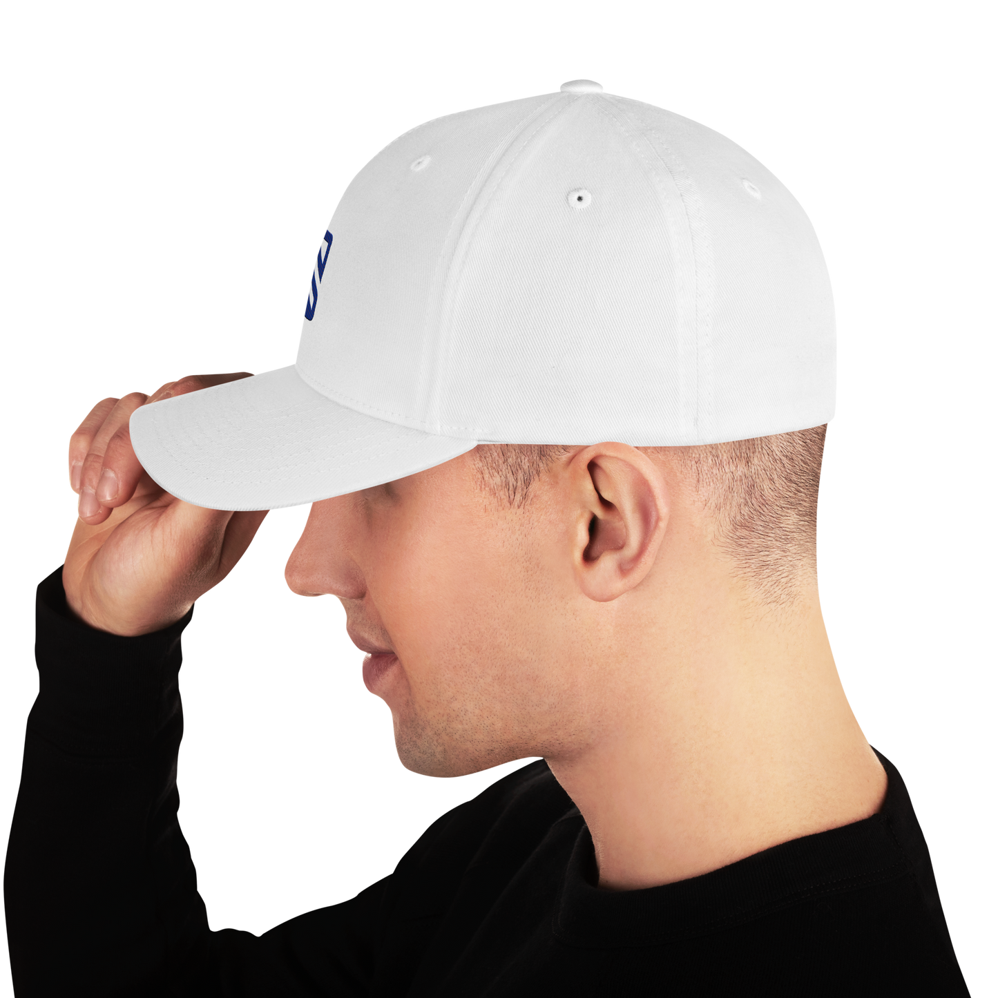 Swifty Flexfit Hat