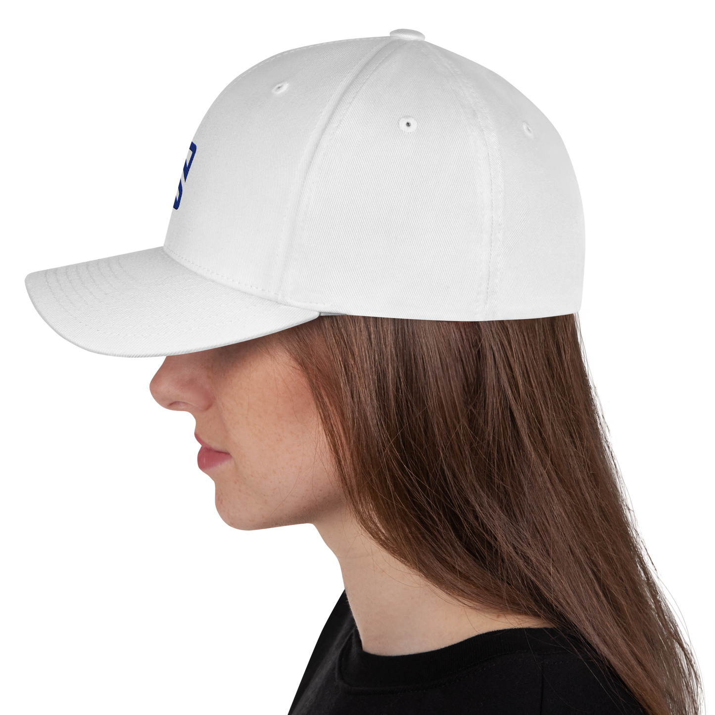 Swifty Flexfit Hat